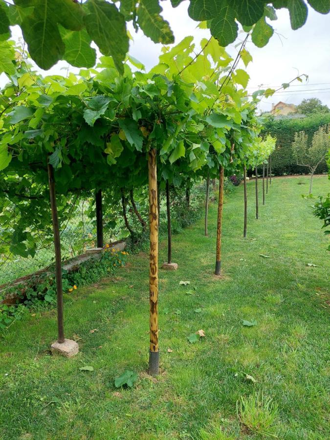 Caseton Do Forno. Lourenza Buitenkant foto